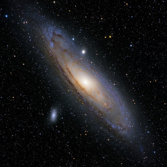 💫TikTok Live Checkout🪐